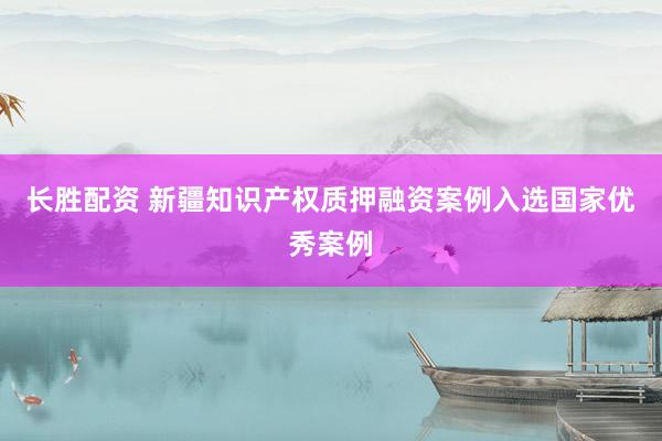 长胜配资 新疆知识产权质押融资案例入选国家优秀案例