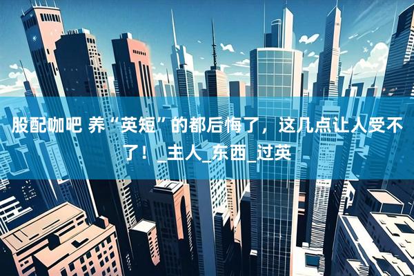 股配咖吧 养“英短”的都后悔了，这几点让人受不了！_主人_东西_过英