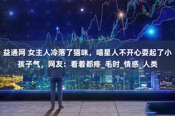 益通网 女主人冷落了猫咪，喵星人不开心耍起了小孩子气，网友：看着都疼_毛时_情感_人类